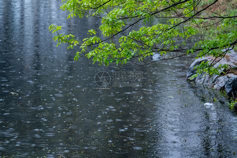 雨